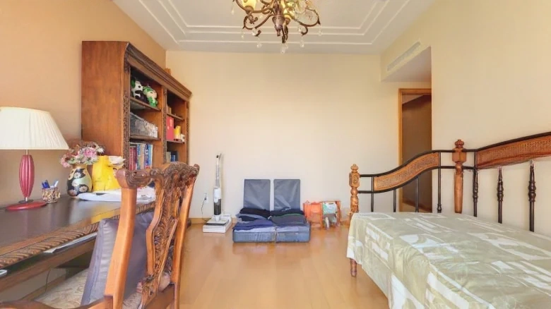 Fantasia International Bihu Garden - View 8