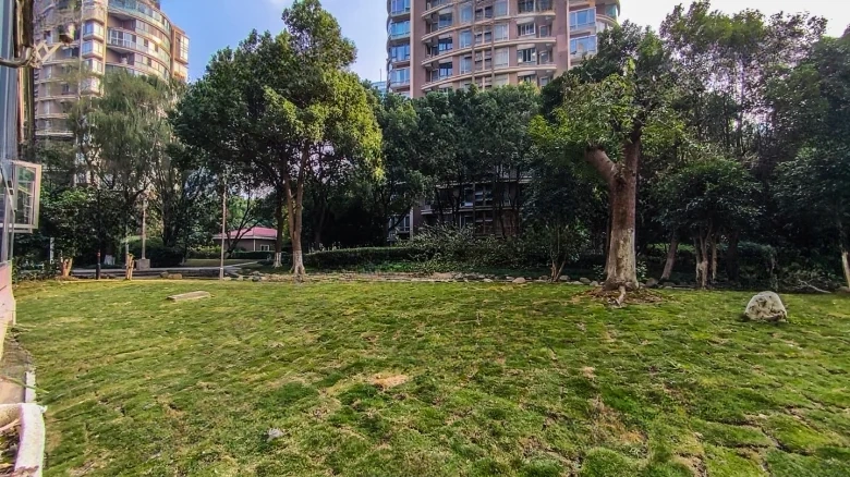 Emerald International - View 12