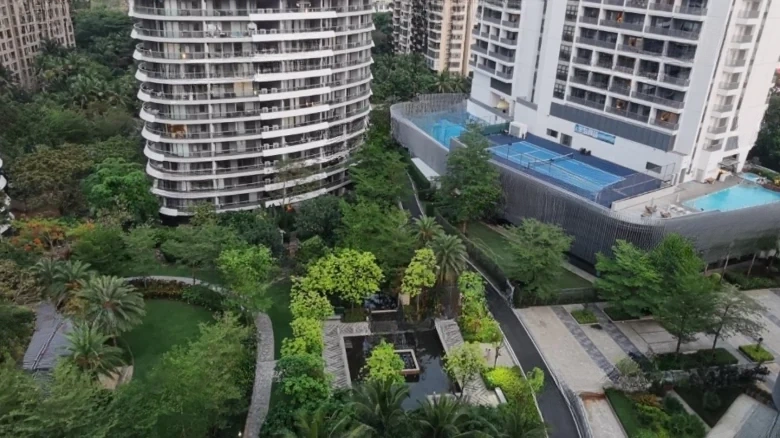 Pearl River Lihao - View 7