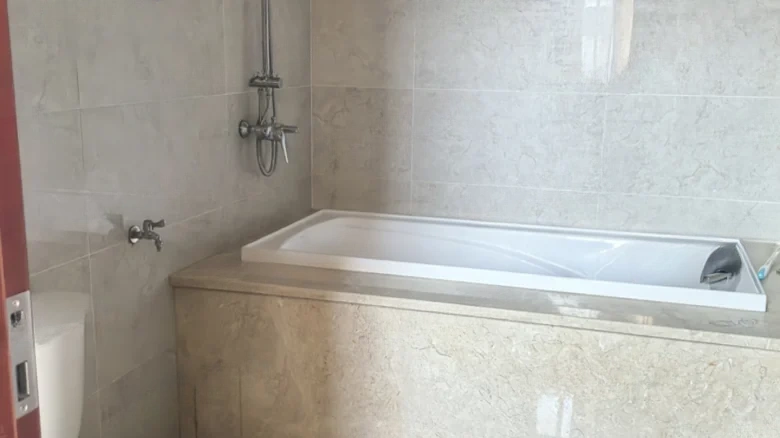 Poly Forest Language Zone B - View 12