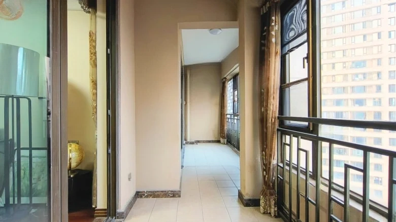 Cosmos Sky擎 - View 16