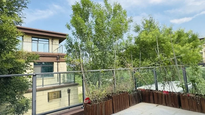 Lake Dragon Tianchen Original Residence - View 17