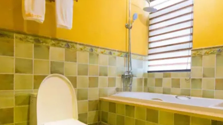 Cinnamon Camphor 16 Bazaar - View 18