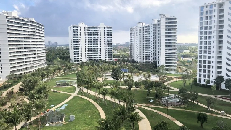 Artistic Hibiscus - View 8