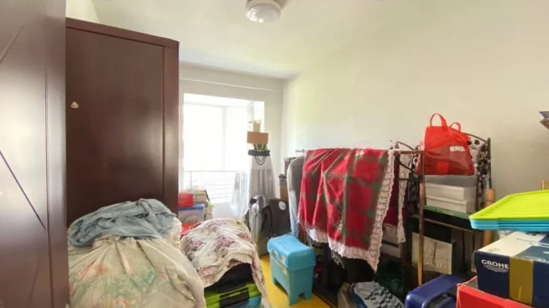 Silver Rich Garden - View 3