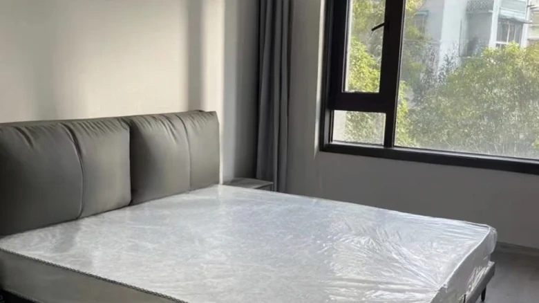 Binhai No.1 - View 2