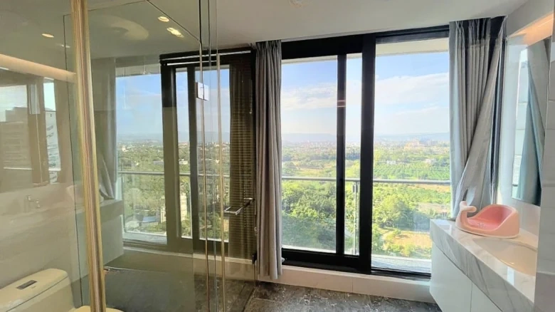 Art Hibiscus - View 8