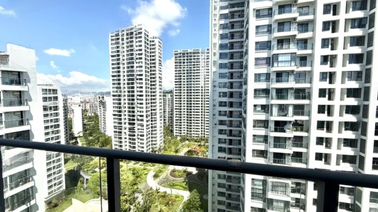 Mountain-Cloud Brocade - View 7