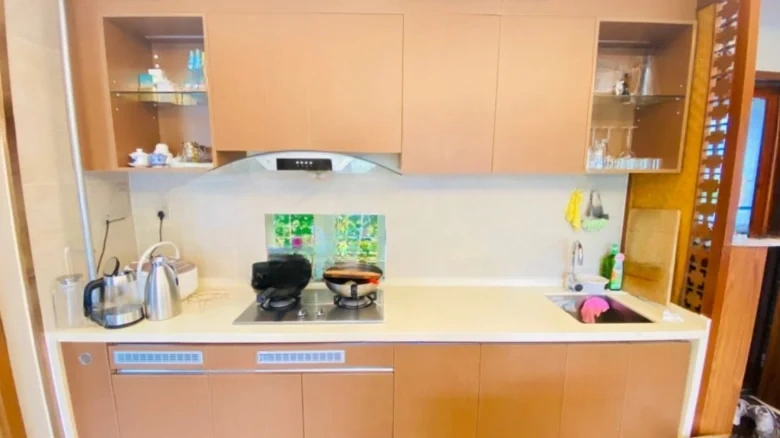 Vanke Lakeview Resort Park Phase I - View 5