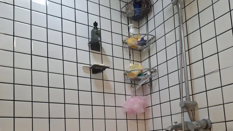 Linyu Home Garden - View 9