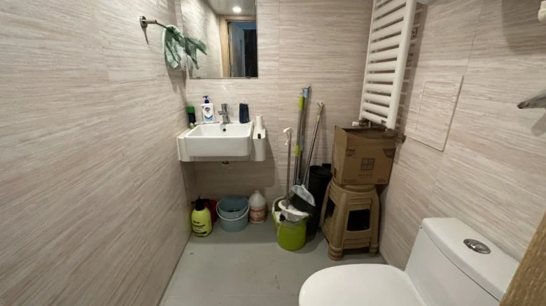 Wanke Metropolis - View 6