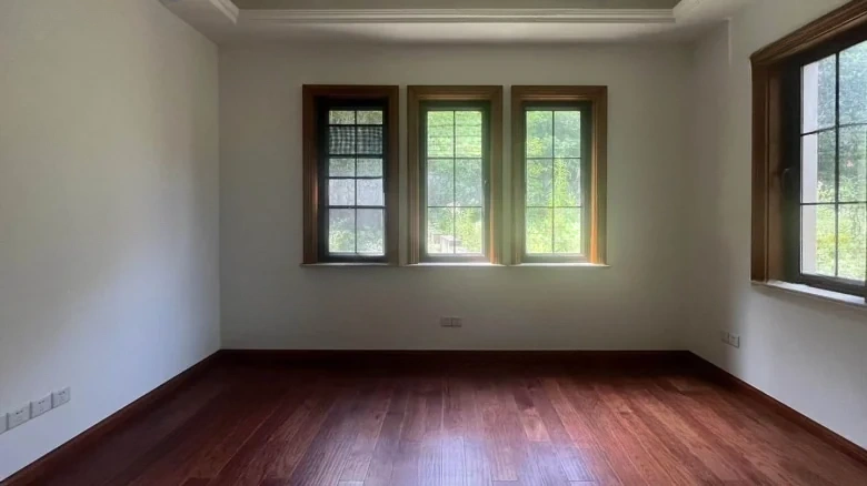 Dream Stream Lake Manor - View 4