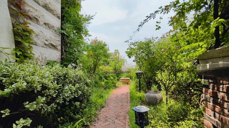 Vanke Hongjun - View 23