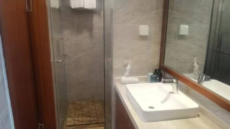 Liantou · Hibiscus Rhythm - View 10