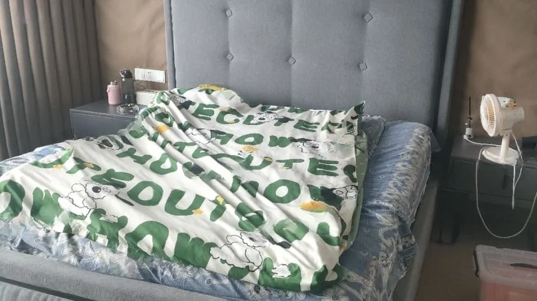 Shimao Pullman - View 3