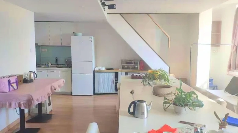 Hai信Xiang绍Shao兴Gong路Lu 66号Hao - View 3