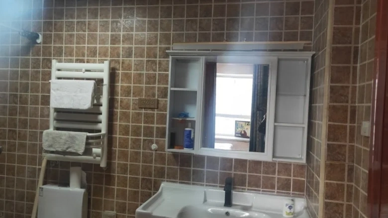 Zhicheng Maple Leaf International - View 8