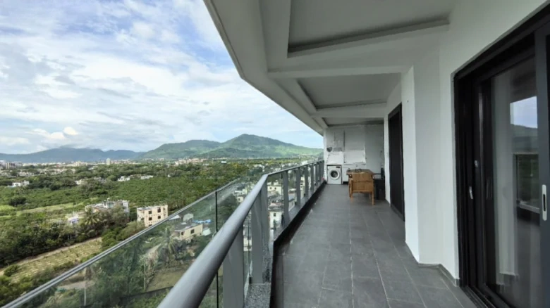 Artistic Hibiscus - View 10