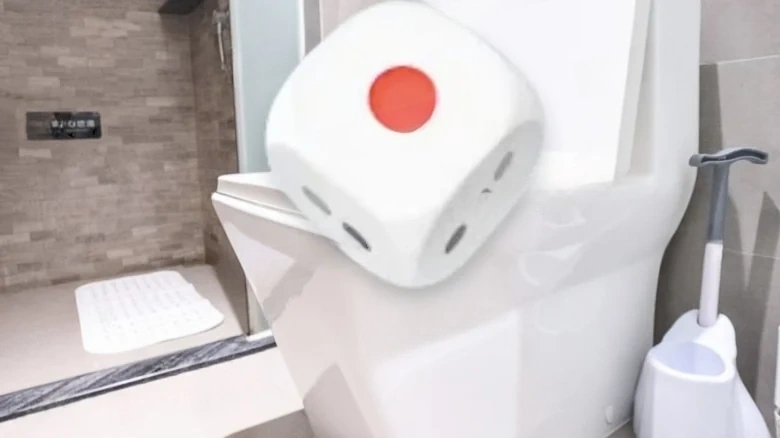 Pearl River Lihao - View 4