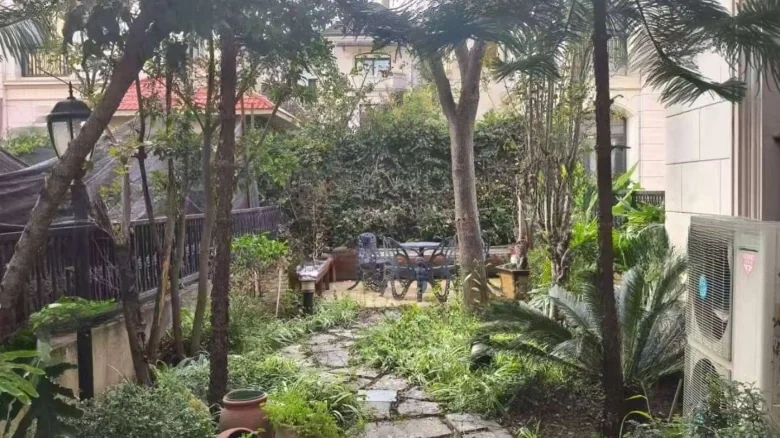 Junsen Ecological Peninsula - View 22