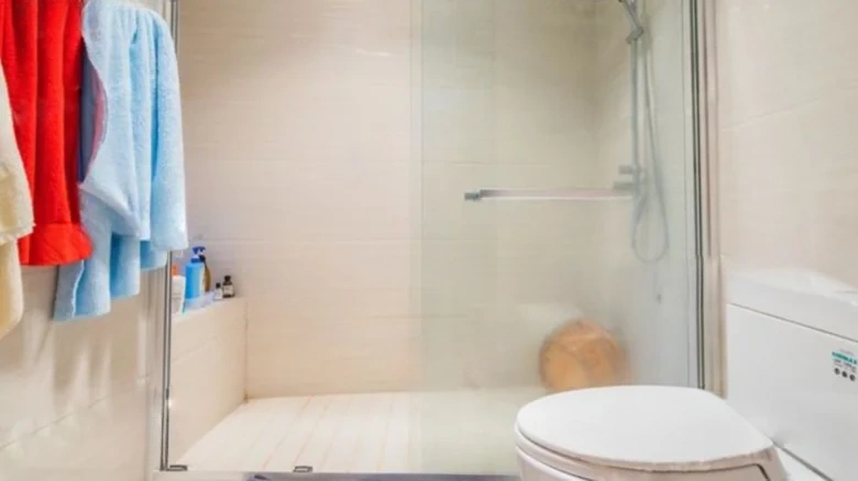 Dolphin Bay - View 8