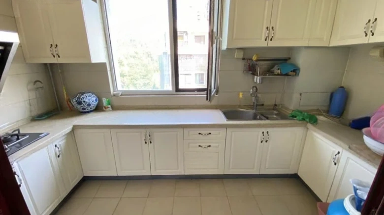 Silver Rich Garden - View 15