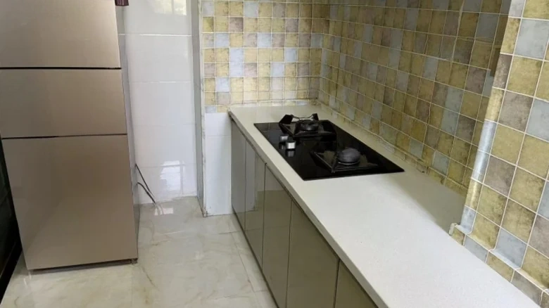 Taohuayuan South District - View 6