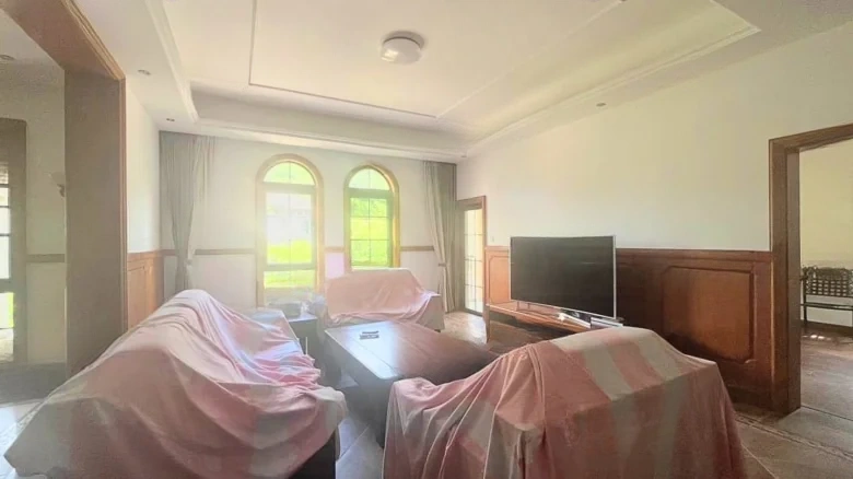 Dream Stream Lake Manor - View 19