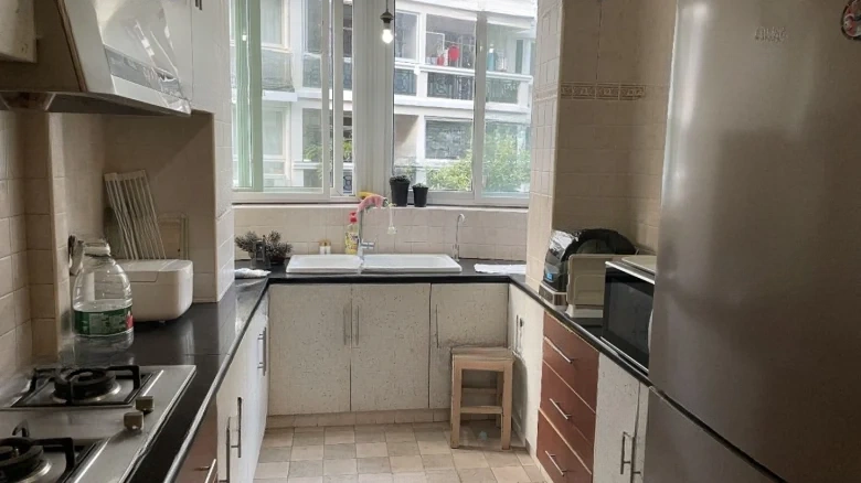 Golden Star Garden - View 5