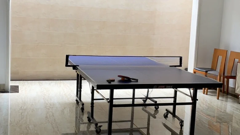 Poly Ville Leaf Language Villa - View 9