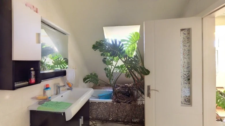 Sjecuan Origin Villa - View 22