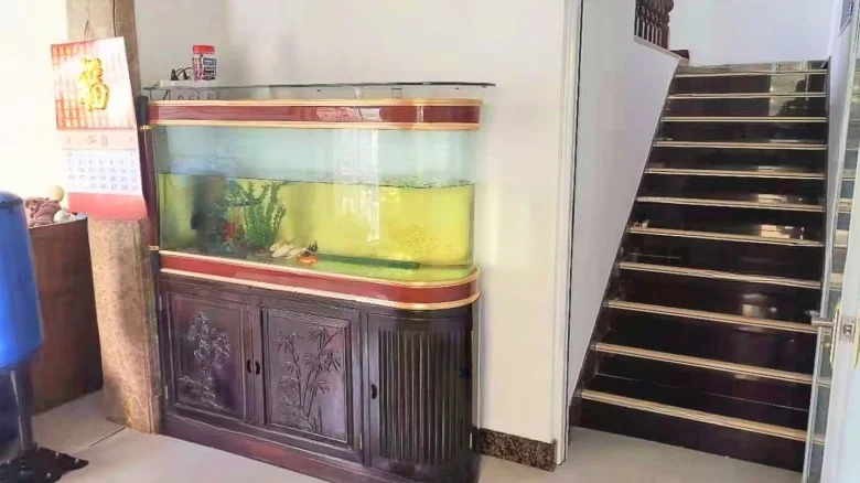 Sunshine Mountain Villa - View 3