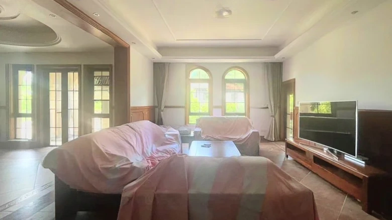 Dream Stream Lake Manor - View 18