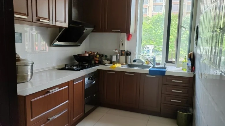 China Overseas Rhine East District - View 6