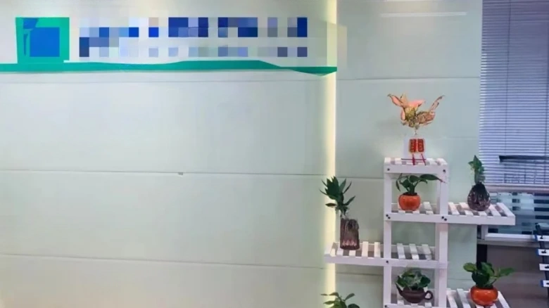 Silver Lion Plaza - View 10