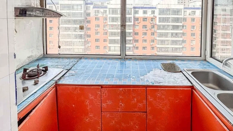 Civil Aviation Garden - View 8