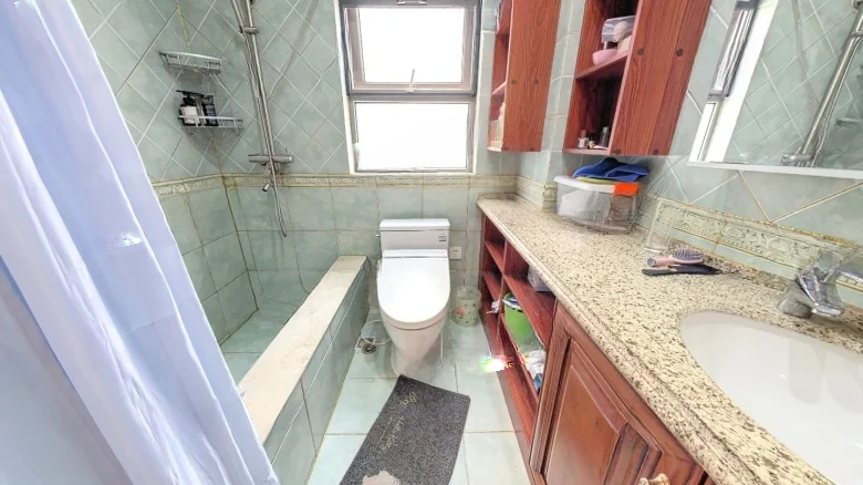 Emerald International - View 8