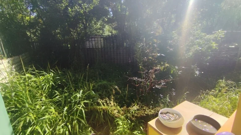 Dianchi Forest - View 20