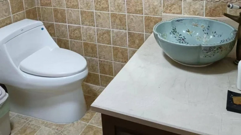 Elegant Jade Courtyard - View 8