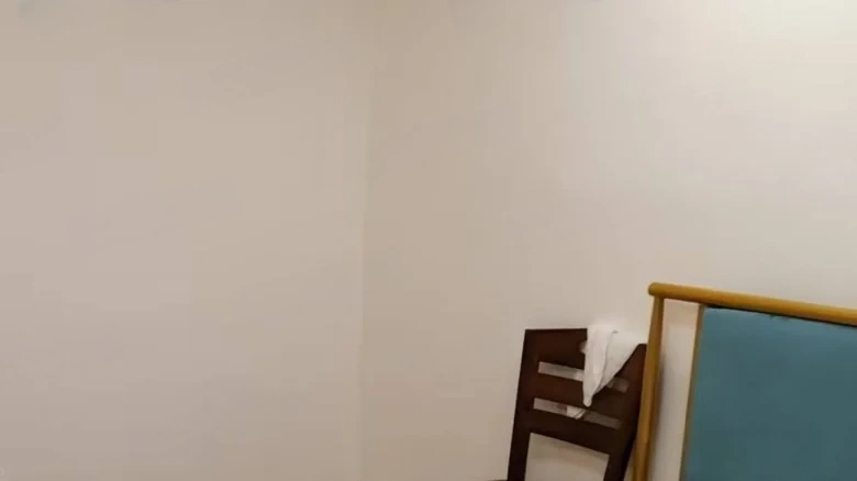 Vanke Lakeside Resort Park Phase II - View 3