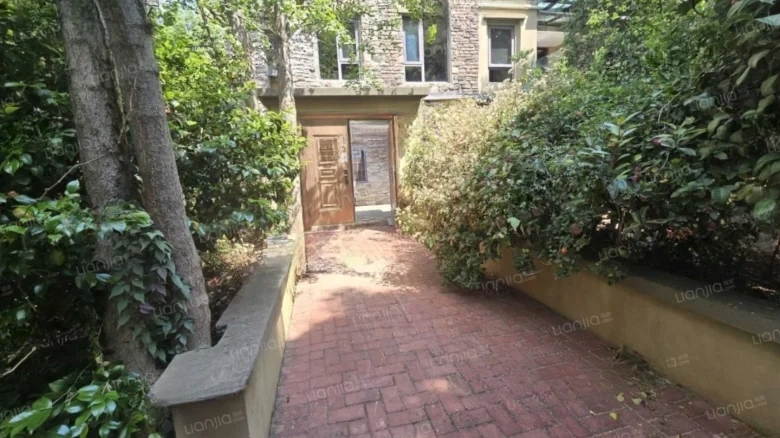 Forest Lake - View 24