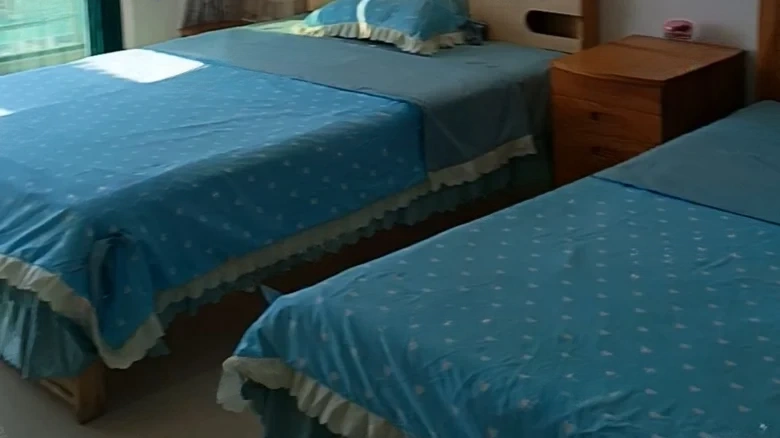 Changda New Millennium Garden - View 1