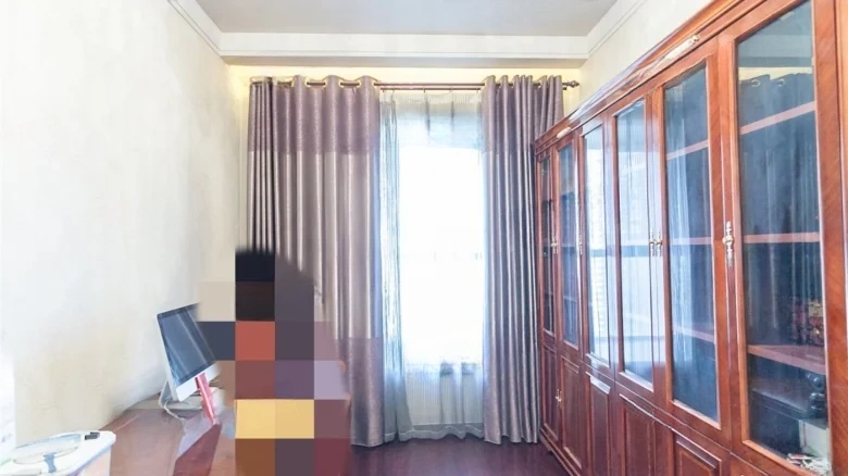 Prosperity Double Happiness City - View 7