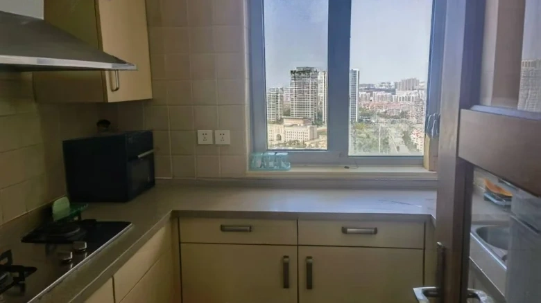 Luxin Hann Zhang Garden - View 9