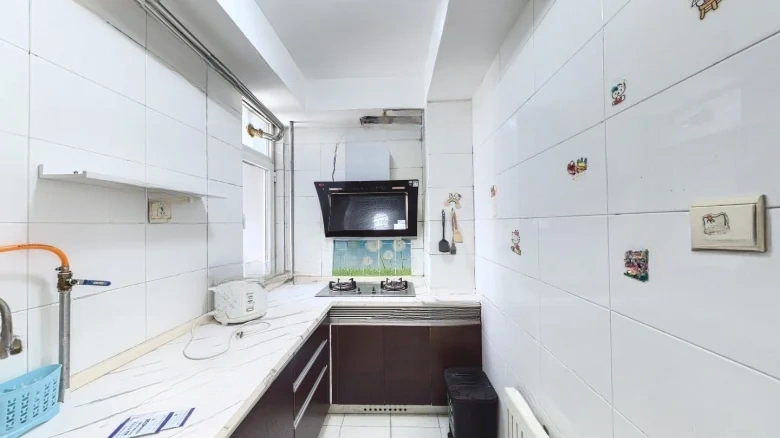 Ducheng Heart Island - View 4