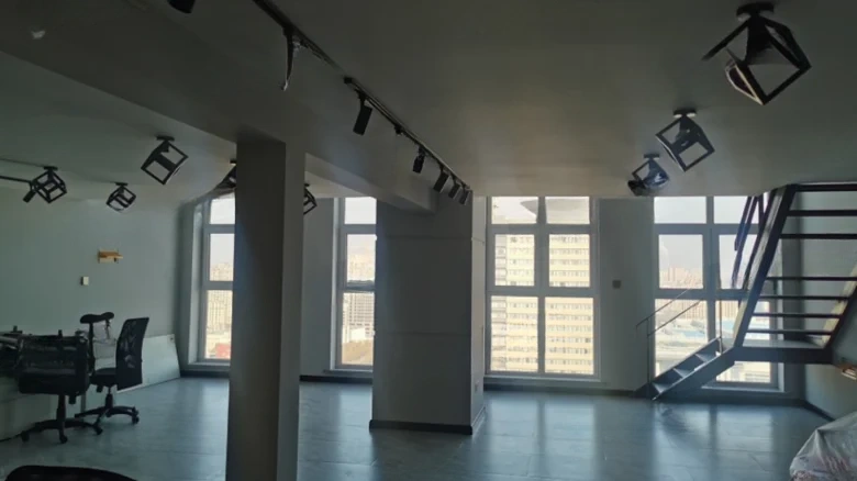 Dream Manor - View 3