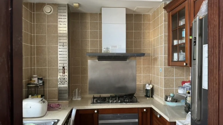 Langsheng Dongwu Green District - View 6