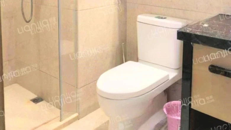 Haitang Central - View 5