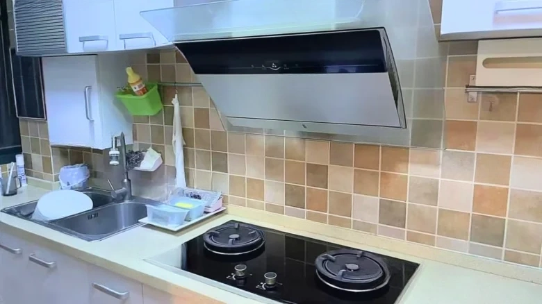 Shanlin Crescent Ring Lin East Road 875 Lane - View 4