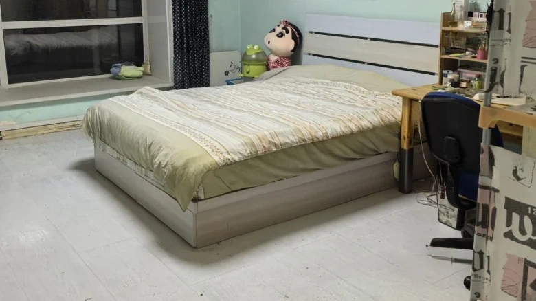 My Home Garden - View 2